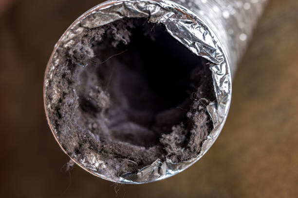 Affordable HVAC Duct Cleaning in LA